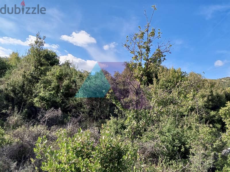 Land +MountainView 4 Sale in Assia-Batroun | أرض للبيع في أسيا-البترون 2