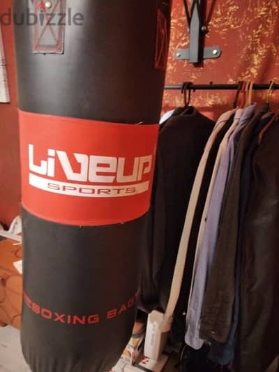 Boxing bag + Chassis