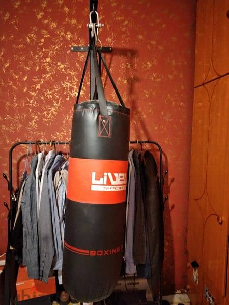 Boxing bag + Chassis 1