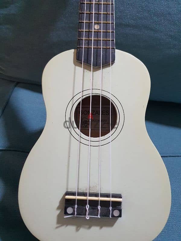 ukulele guitar 2