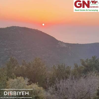 Land for Sale In Dibbiyeh ارض للبيع في الدبية