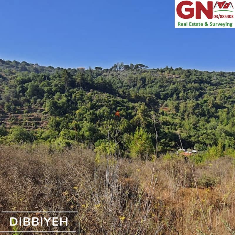 Land for Sale In Dibbiyeh ارض للبيع في الدبية 1