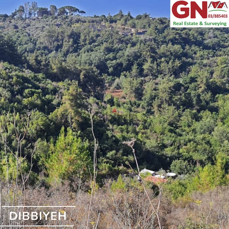 Land for Sale In Dibbiyeh ارض للبيع في الدبية 2