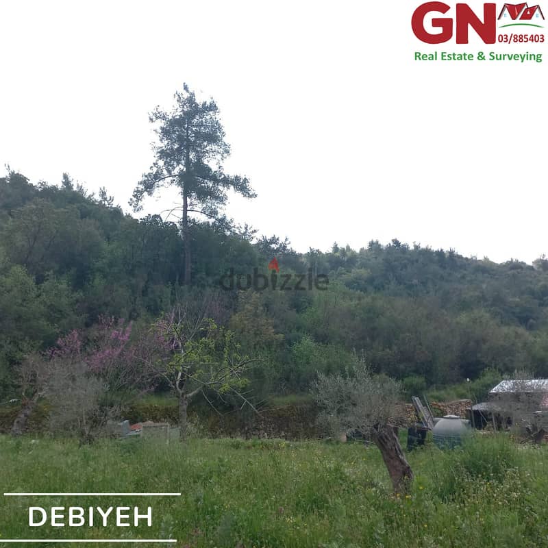 Land for Sale In Dibbiyeh ارض للبيع في الدبية 3