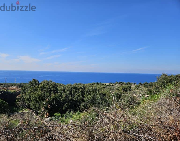 Land with License for three Buildings 2