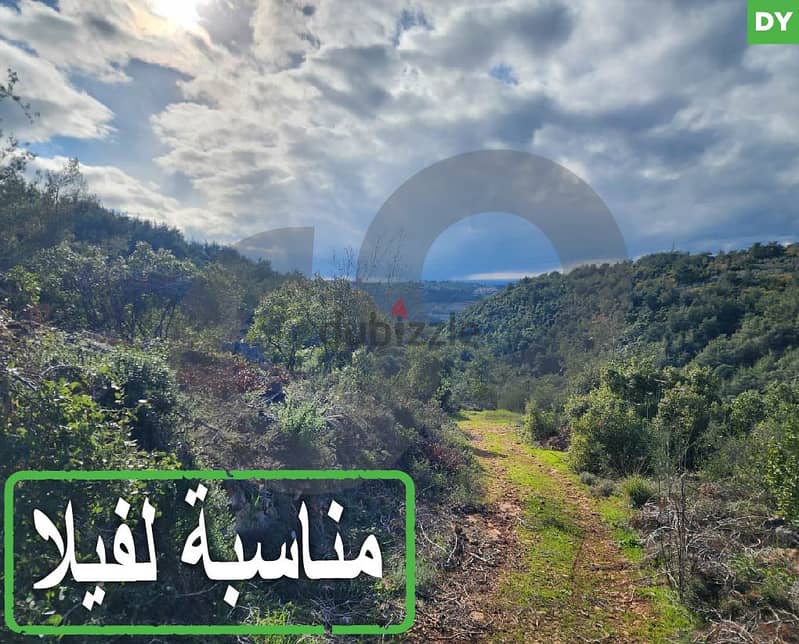 Land/ Villa | Borjein/Dibbiyeh / Chouf/شوف/ برجين/الدبية  REF#DY118308 0