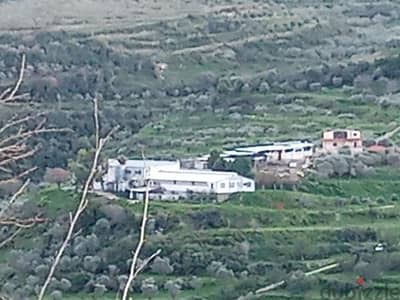 farm for sale in koura مزرعة للبيع في الكورة