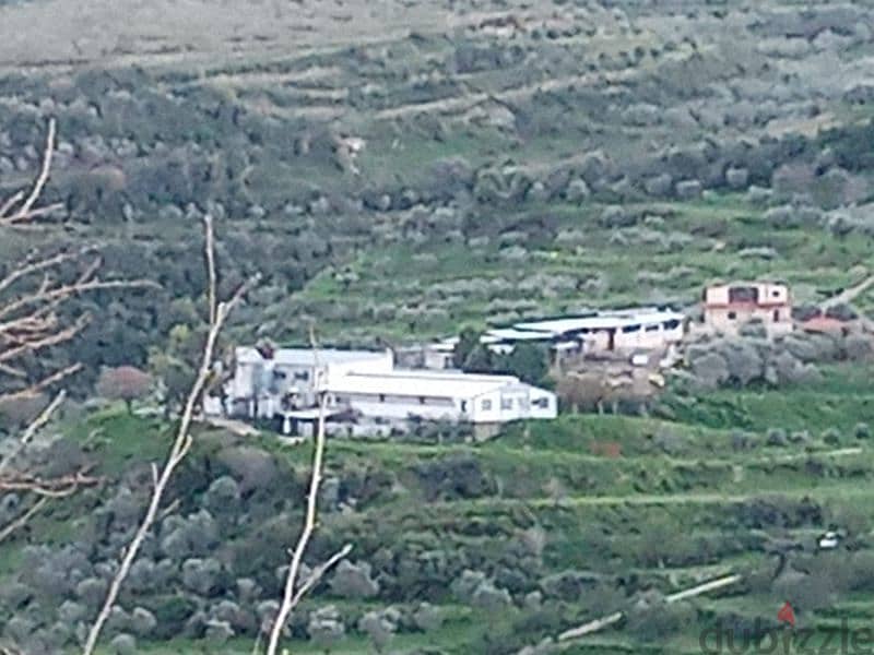 farm for sale in koura مزرعة للبيع في الكورة 0