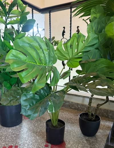 Artificial Monstera Plant