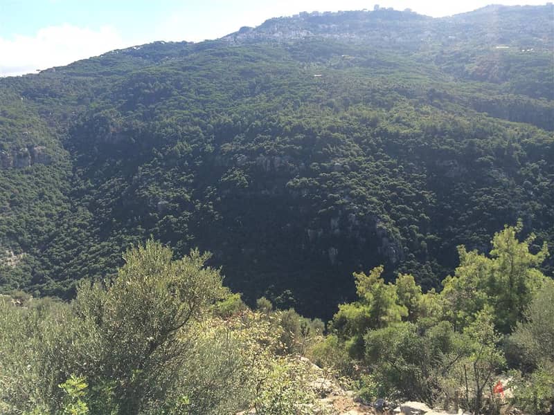 Prime location Land in Beit Mery | Monteverde | Const Projects Avai 2