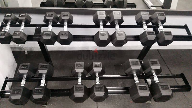 dumbbells plates 1