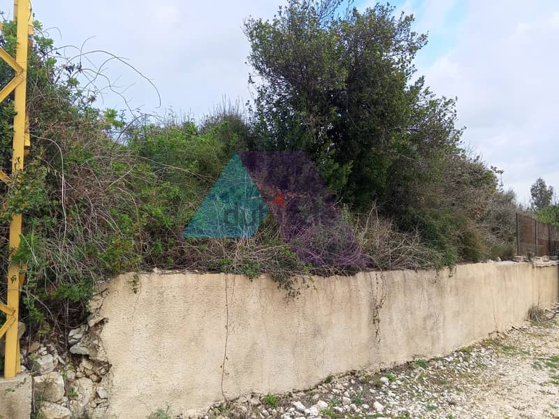 Land for sale in Edde -Batroun  |  أرض للبيع في إده  - البترون 1