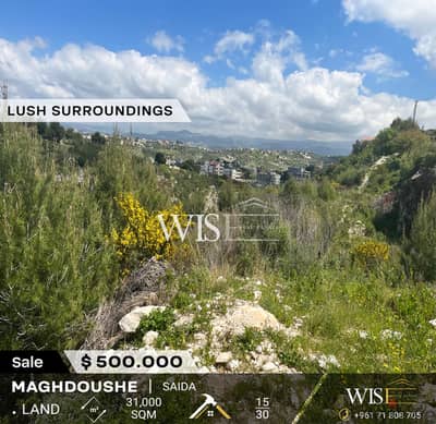  Prime 31,000 SQM Land for SALE in Maghdoushe - Saida !