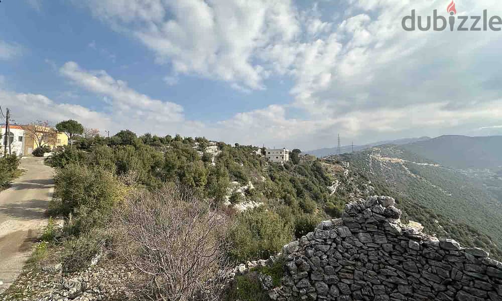 Land In Bejjeh For Sale | 999 SQM Land | أرض للبيع | PLS 26262 3