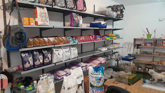 pet shop محل لوازم الحيوانات