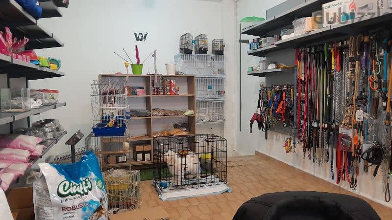 pet shop محل لوازم الحيوانات 2