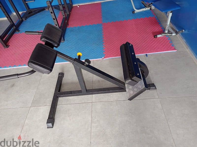 Back Extention Machine GEO sport معدات رياضية متنوعة 0