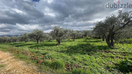 RWB100SN - Land for sale in Kousba el Koura