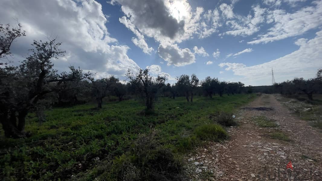 RWB100SN - Land for sale in Kousba el Koura 1