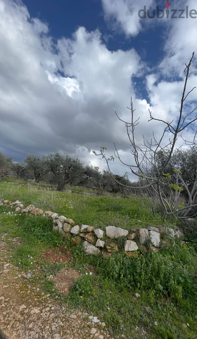 RWB100SN - Land for sale in Kousba el Koura 2