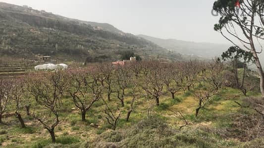 ارض للبيع في عين زحلتا الشوف land for sale in ain zahlta shouf