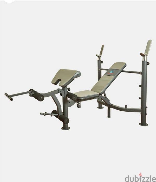 high quality bench, biceps training & Leg Raises  + 30 kg dumbells set 1