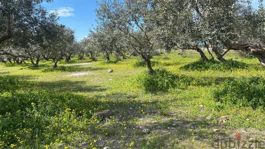 Land for sale in Anfeh ارض للبيع في انفه