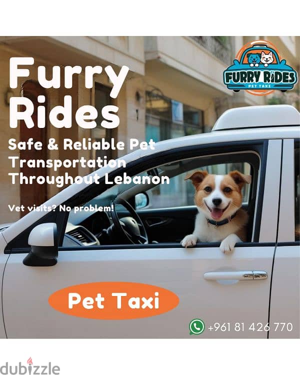 pet taxi service all over lebanon for dogs and cats 0