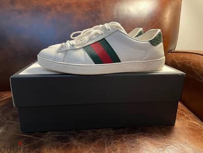 Gucci ace shoes