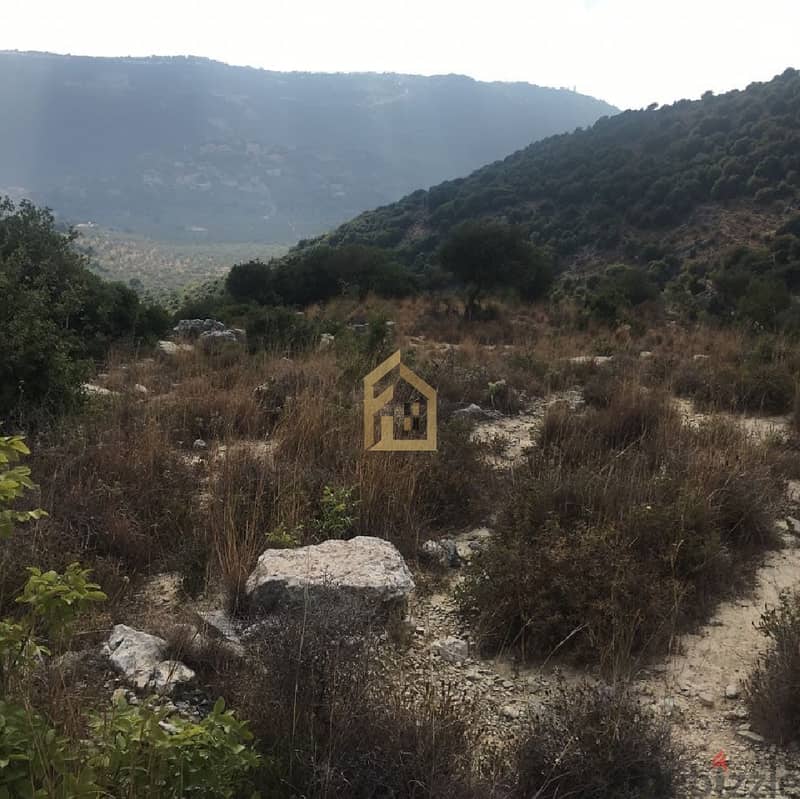 Land for sale in Jbeil-Bejjeh RKF13 أرض للبيع في جبيل - بجة 1