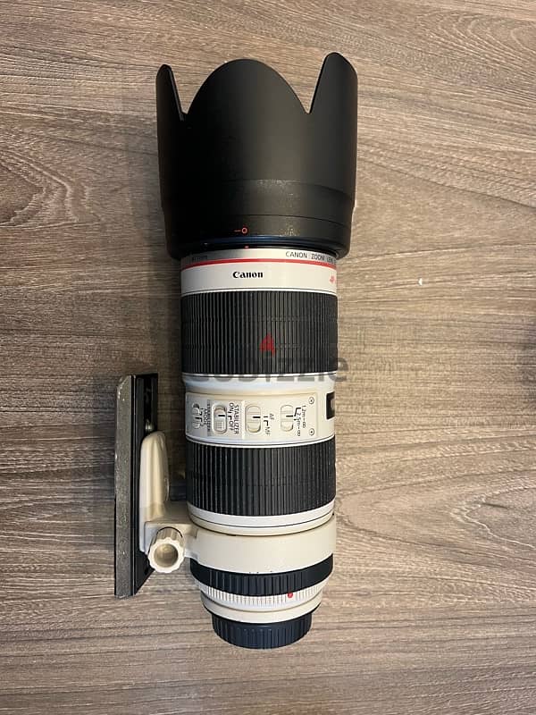 canon 70 200mm 3