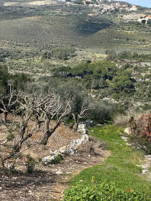 2229 mtr in Batroun boxmaya panoramic viewبقصمايا البترون منظر لا يحجب 1