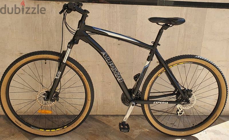 Alps Esperia 29" Size X LARGE 3x9 sp hydraulic brakes 1