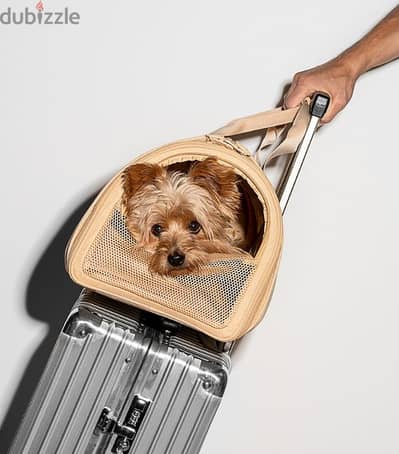 pet travel carrier