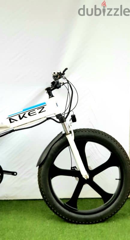 AKEZBIKE foldable ebike 1000w 1