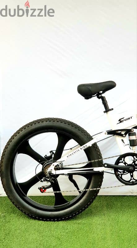 AKEZBIKE foldable ebike 1000w 2