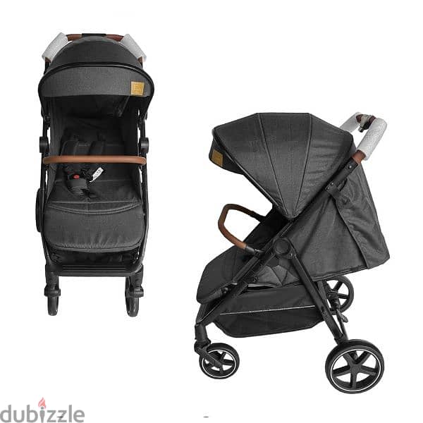 Extendable Stroller For Babies 1