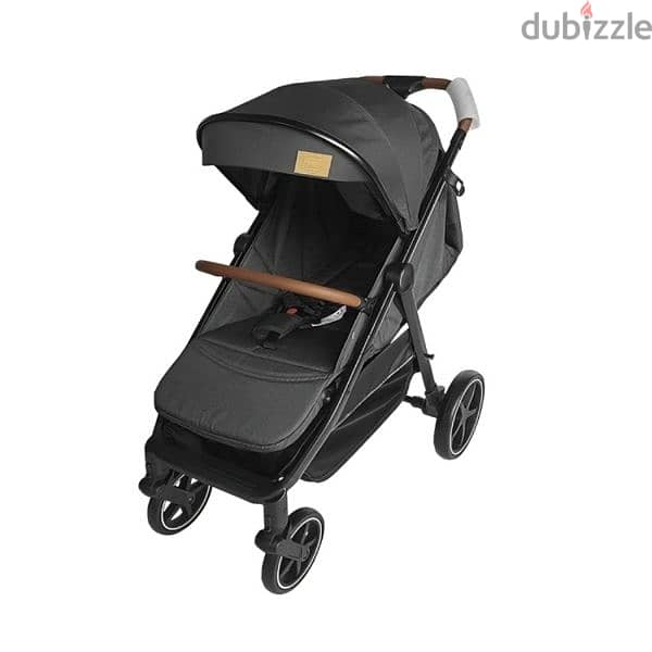 Extendable Stroller For Babies 2