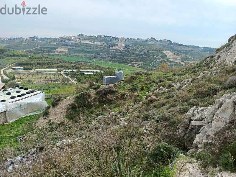 land for sale in jnoub ghesanieh أرض للبيع في الغسانية الجنوب 1