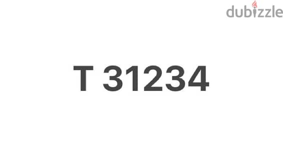 T 31234