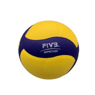 Volleyball For Indoor & Outdoor Size 4