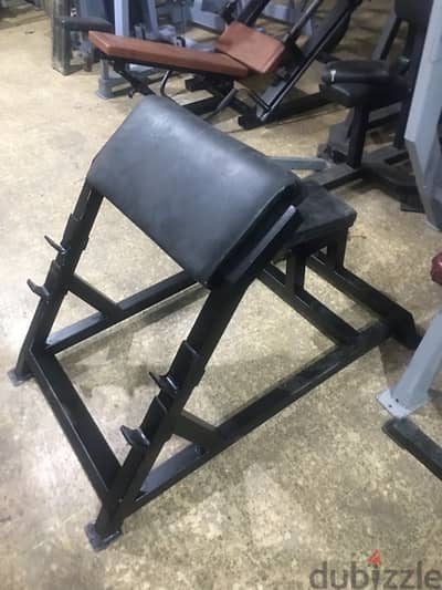 bench biceps like new