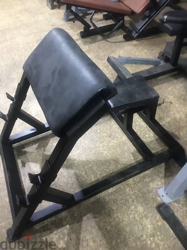 bench biceps like new 1