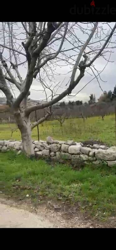 land for sale in ain jdide bhamdoun أرض للبيع في عين الجديده بحمدون 3