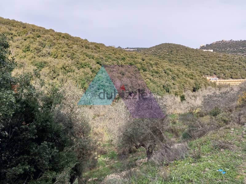 Land 4 Sale in Bejdarfel (6244 sqm) -Batroun |  أرض بجدارفل - البترون 1