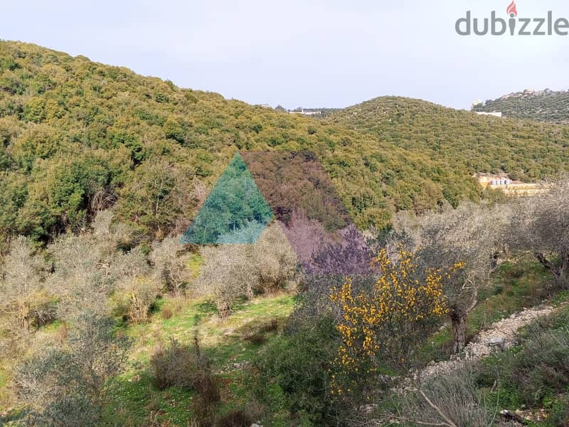 Land 4 Sale in Bejdarfel (6244 sqm) -Batroun |  أرض بجدارفل - البترون 2