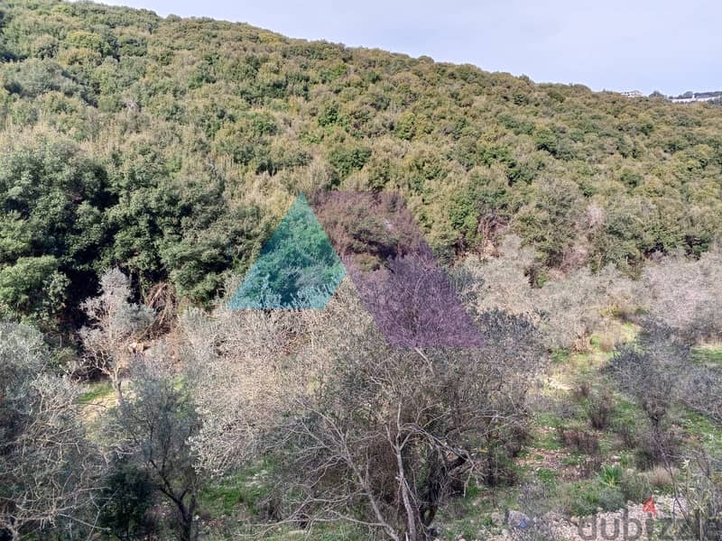 Land 4 Sale in Bejdarfel (6244 sqm) -Batroun |  أرض بجدارفل - البترون 4