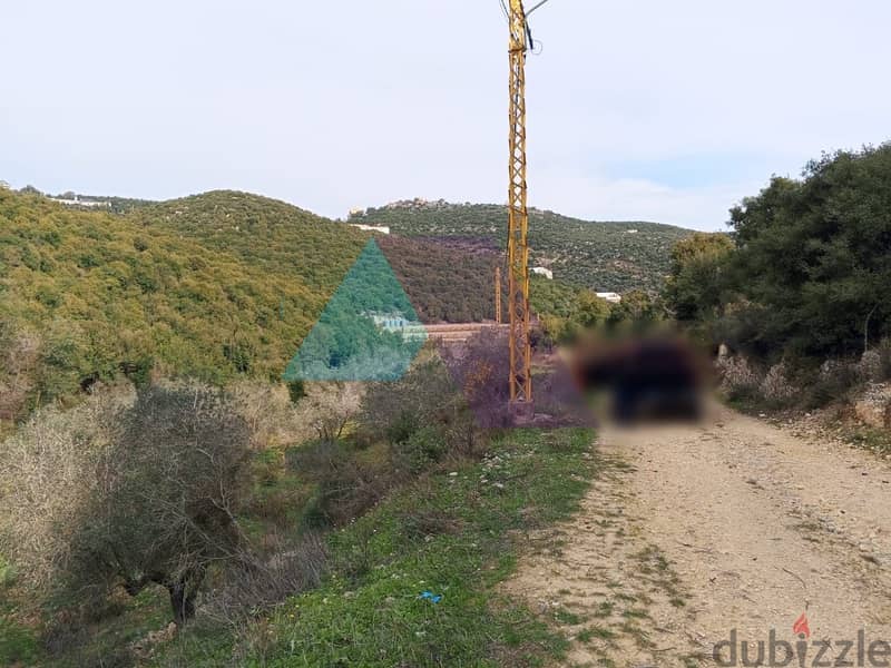 Land 4 Sale in Bejdarfel (6244 sqm) -Batroun |  أرض بجدارفل - البترون 6