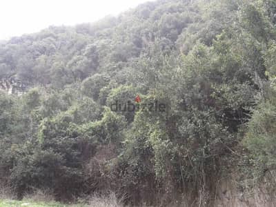 Land for sale in Berbara