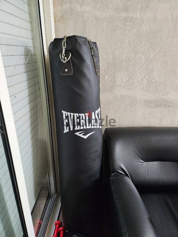 Boxing bag (hangs from ceiling) 1